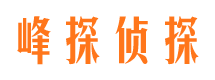 彭山找人公司